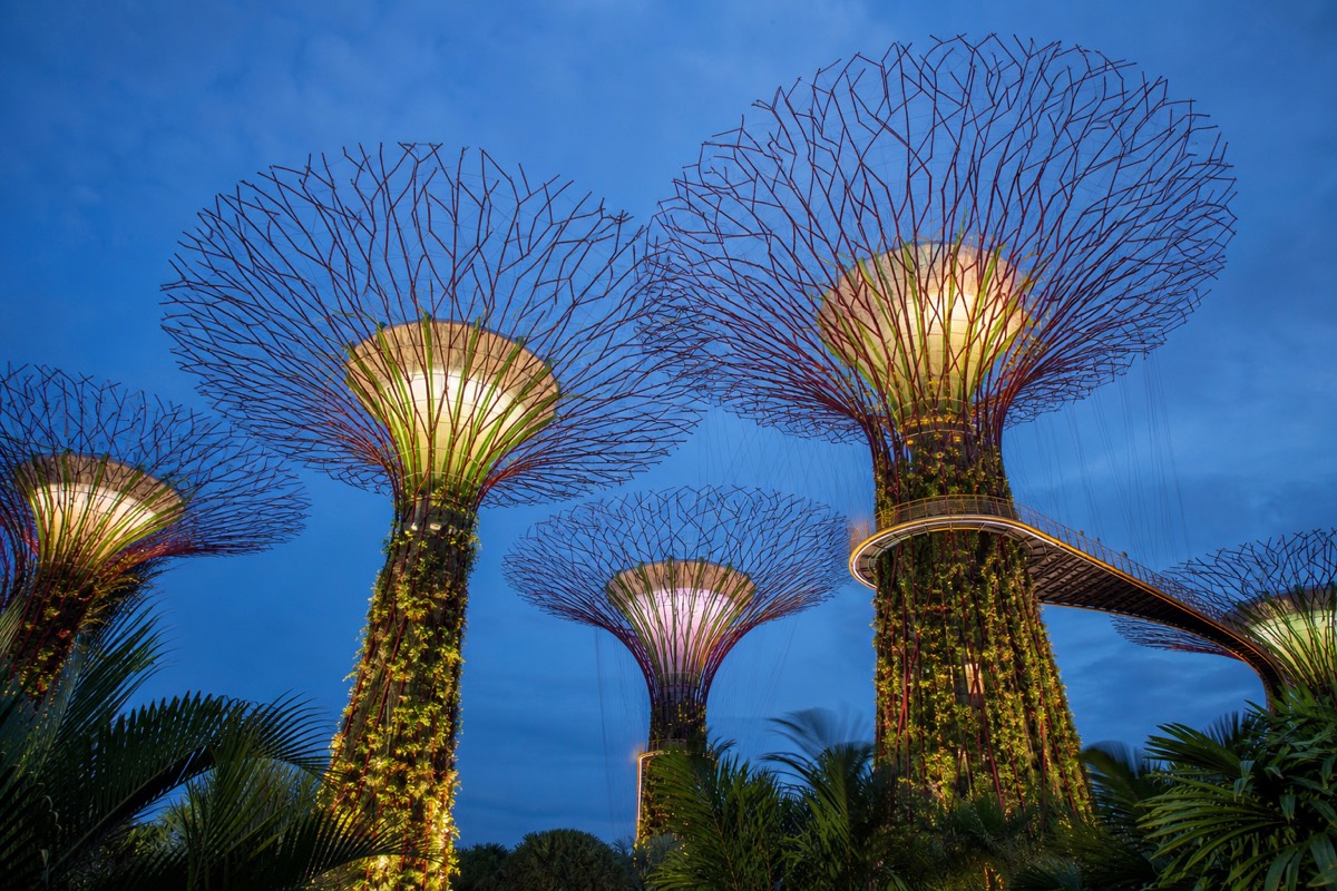 A Singapore hawker centre